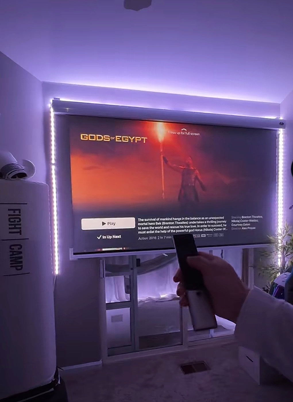 Toile Noir Electric Projector Screen - 100" Motorized 4K